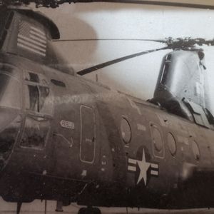 Meet your Posher, Dana